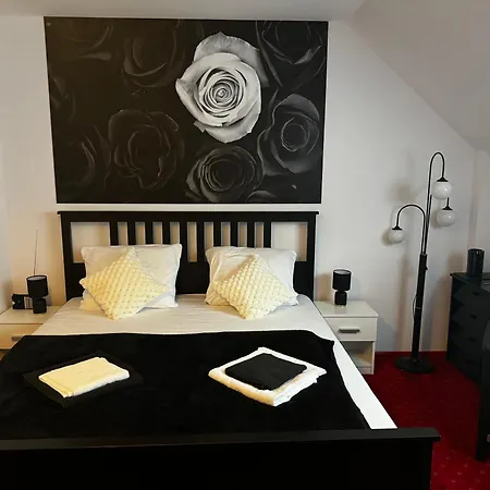Dw Butik Hotel W Centrum 300M Od Morza *