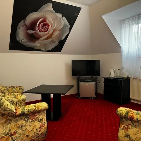 Dw Butik Hotel W Centrum 300M Od Morza * Ustronie Morskie