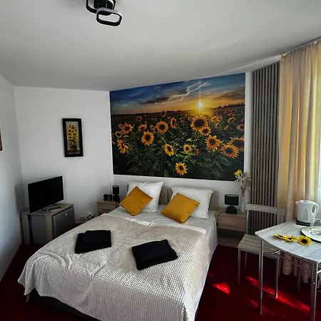 Dw Butik Hotel W Centrum 300M Od Morza Hotel *